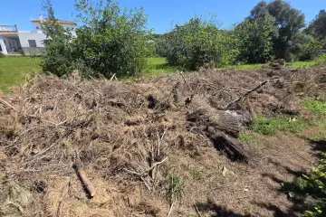 Изчистване на дворове и обрасли парцели