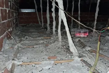 Премахване на гълъбово гуано и гнезда