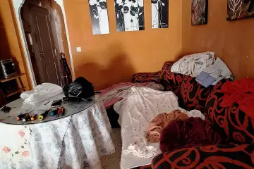 Почистване на замърсяване след животни